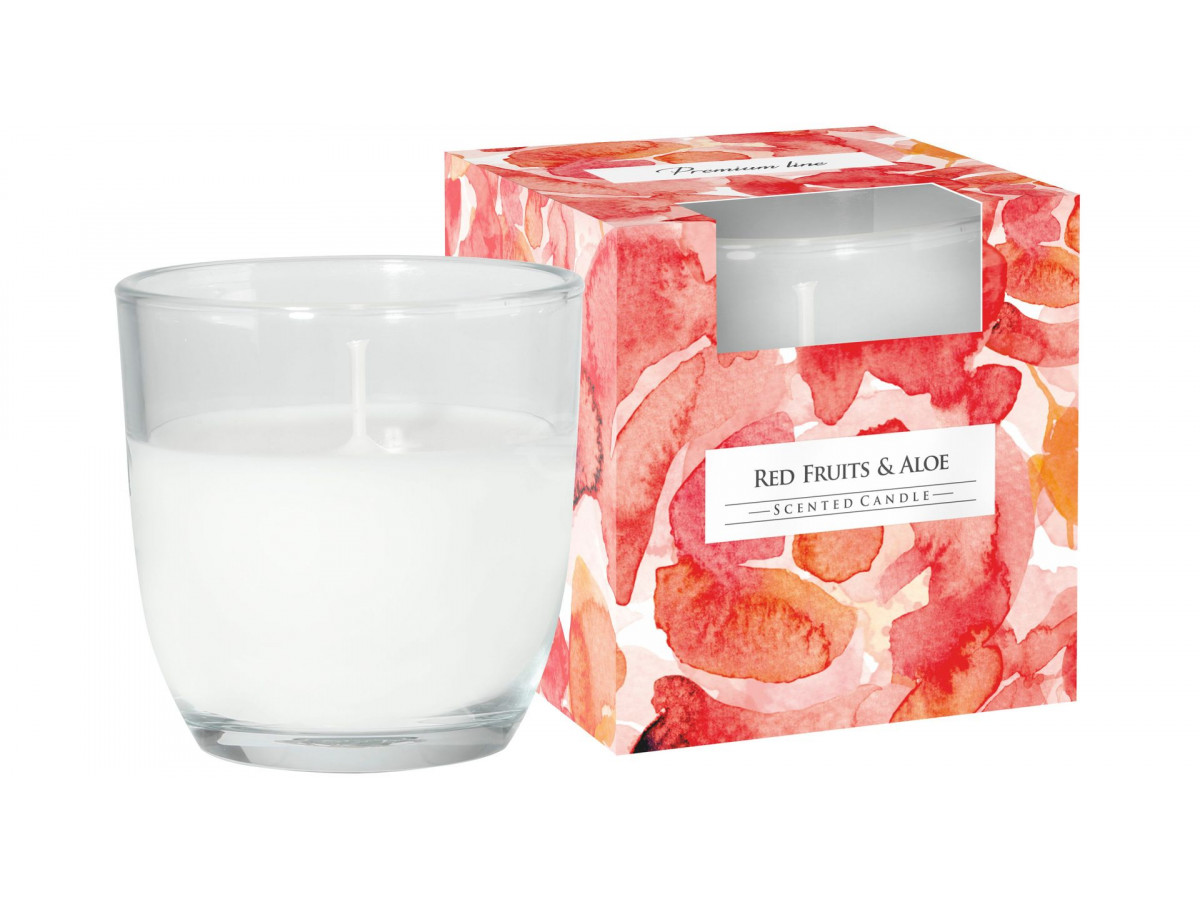 Svíčka vonná  100g SN75B Red fruits Aloe