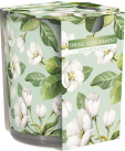 Svíčka vonná  100g SN72S Spring refreshment