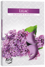Svíčka čajová 6ks LILAC